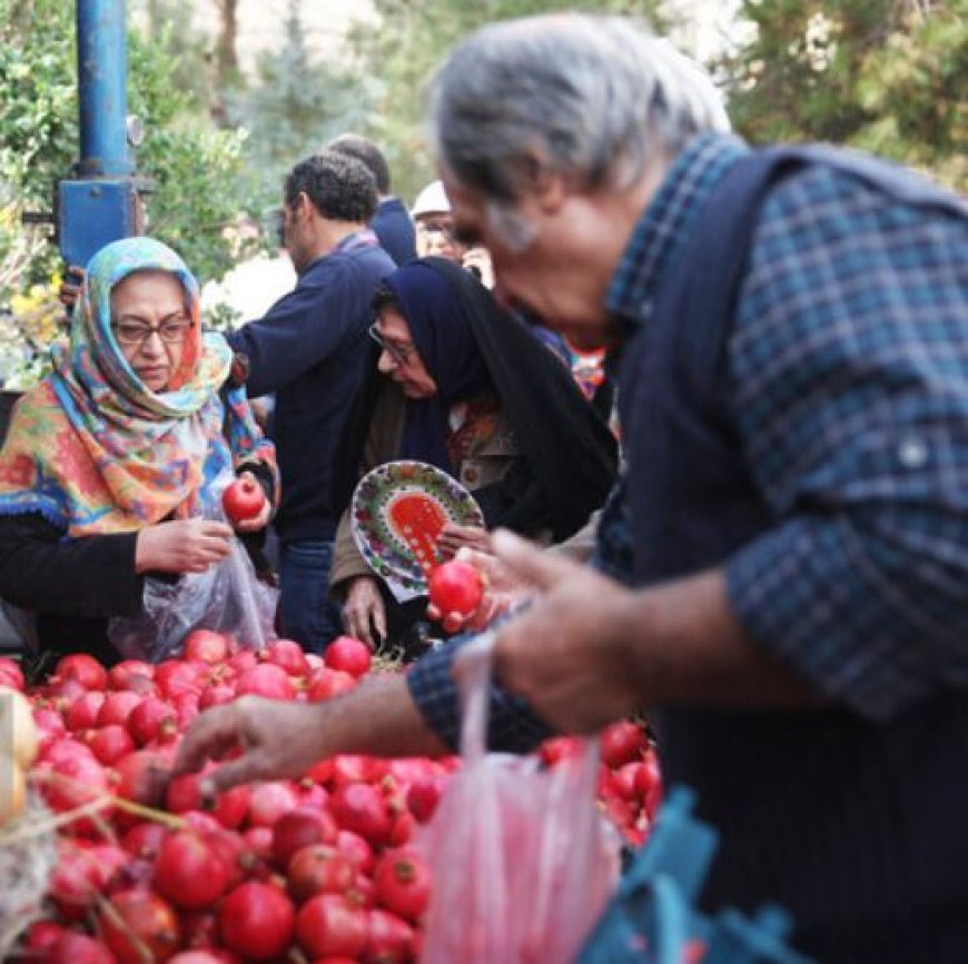 برپایی سومین جشنواره ملی انار و خرمالوی شیراز