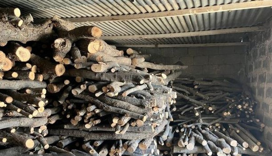 دو تُن چوب قاچاق در بندرعباس کشف شد