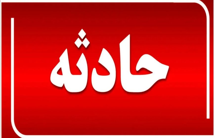 سقوط درخت منجر به جان باختن یک فرد در گچساران شد