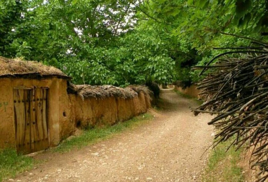 شتاب در برخورد با ساخت‌وسازهای غیرمجاز در باغ‌های قصردشت