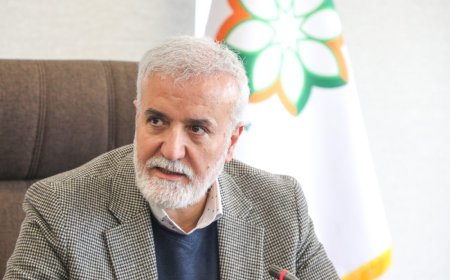 شهردار شیراز خواستار تسریع در احداث کتابخانه مرکزی شد