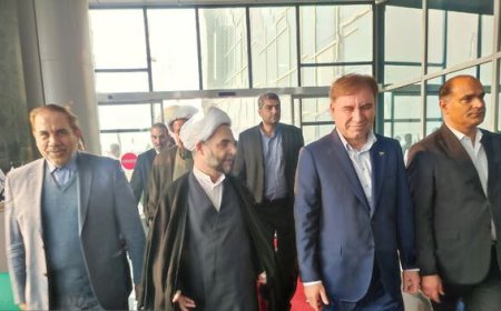 معاون اول قوه قضائیه وارد عسلویه شد