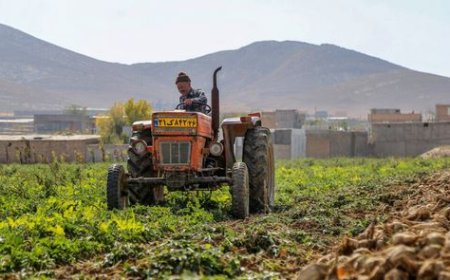 گام دولت چهاردهم برای تقویت تولید در کهگیلویه‌ و بویراحمد