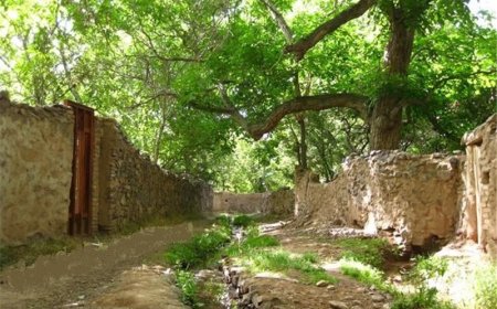 پایان انتظار ۳۰ ساله؛ تصفیه‌خانه قصردشت شیراز دهه فجر افتتاح می‌شود