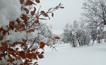 احتمال بارش برف و رعدوبرق در خوزستان