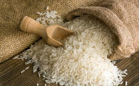 توزیع بیش از یک‌هزار تن برنج در خوزستان از فردا آغاز می‌شود