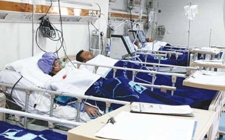  آنفولانزا در کهگیلویه و بویراحمد یک قربانی گرفت