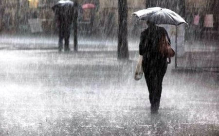 آماده‌باش کامل استان بوشهر در پی هشدار قرمز هواشناسی