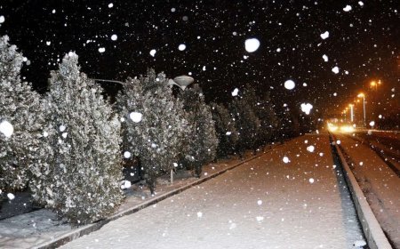 شیراز در آماده‌باش برای بارش برف؛ تردد غیرضروری ممنوع