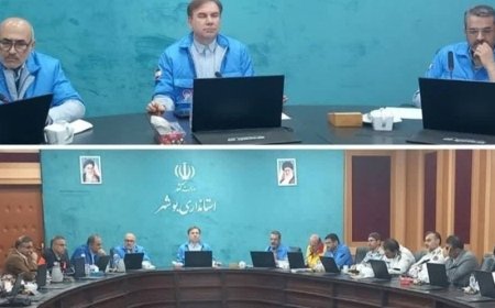 بارش باران بالای 100 میلیمتر در استان بوشهر