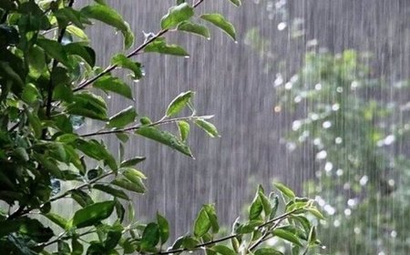 قشم رکورد دار بیشترین بارش‌ها در هرمزگان