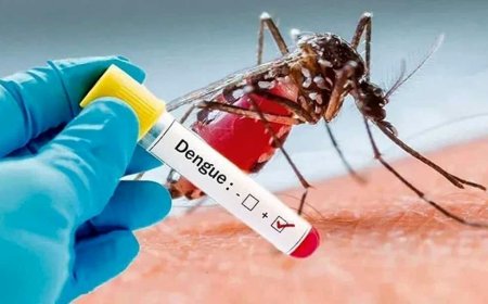 فارس بدون تب دنگی در سال جاری