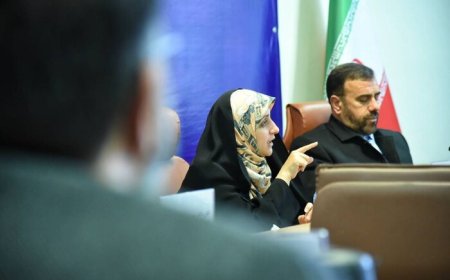 معاون رئیس‌جمهور: حل مسائل زنان بدون کمک دانشگاهیان ممکن نیست