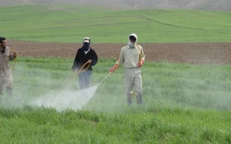 آمادگی ملی برای مقابله با ملخ صحرایی در ایران