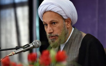 امام جمعه شیراز: روز شهادت شاهچراغ(ع) باید به نماد عزاداری مردمی در شیراز تبدیل شود