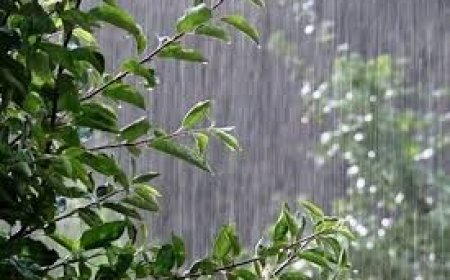 بارش رحمت الهی در  استان کهگیلویه وبویراحمد