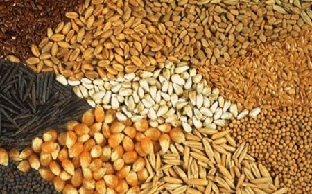 پادکست/چالش تعیین تکلیف نهاده های دامی