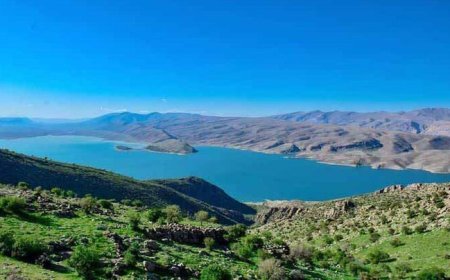 افزایش ۲۲۲ درصدی بارش‌ها در فارس