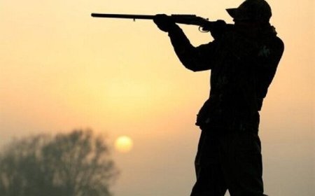 دستگیری شکارچیان غیرمجاز سه رأس تشی در دشتستان