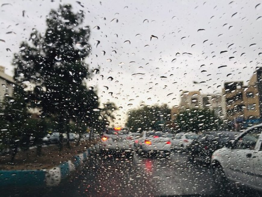 بارش پراکنده باران در نوار جنوبی فارس