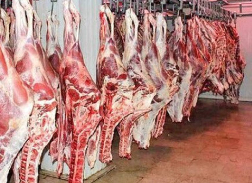 تعطیلی کشتارگاه‌های سنتی باعث گرانی گوشت نمی‌شود