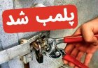 پلمب ۲ حجره گران‌فروش در میدان میوه و تره‌بار بندرعباس