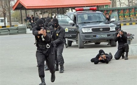 پایان گروگانگیری با انگیزه اخاذی ۵۰۰ میلیاردی در شیراز
