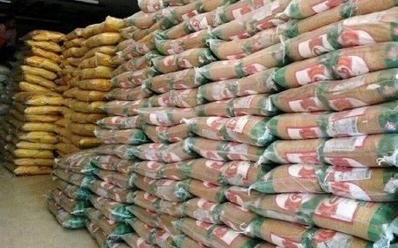 کشف ۲۳۰ تن برنج احتکارشده در یکی از بنادر هرمزگان