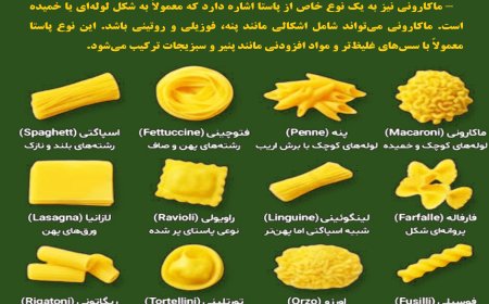 اینفوگرافیک |روز جهانی اسپاگتی