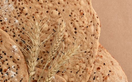 افزایش قیمت نان در هرمزگان / نرخ‌گذاری جدید بر اساس مصوبه شورای آرد و نان