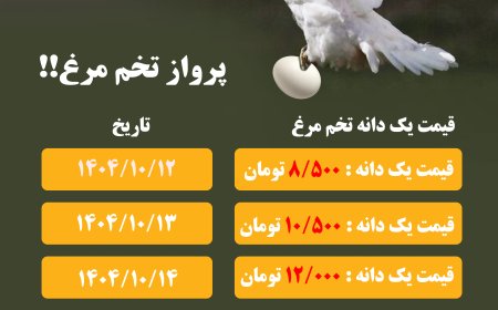 پروازتخم مرغ!