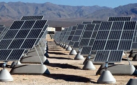 بررسی مسائل آب و برق بوشهر در دیدار استاندار و نمایندگان مجلس با وزیر نیرو