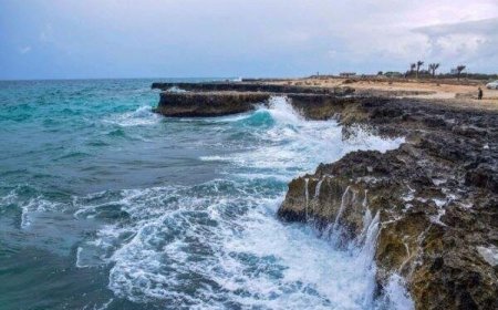 هشدار زرد هواشناسی برای بوشهر؛ وزش باد، گردوغبار و تلاطم دریا در پیش است