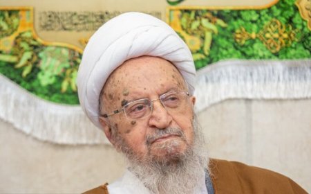 آیت‌الله مکارم شیرازی: مسئولین در قطع دست منفعت‌طلبان هیچ‌گونه مماشاتی نکنند