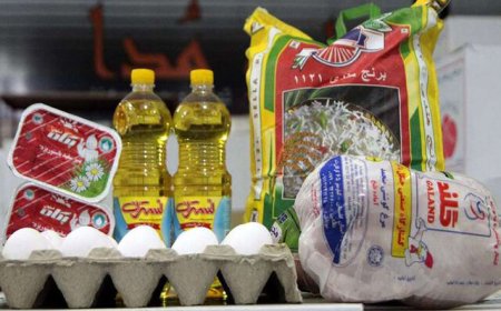 توزیع قریب ۲۱ هزار تن کالای اساسی در فارس