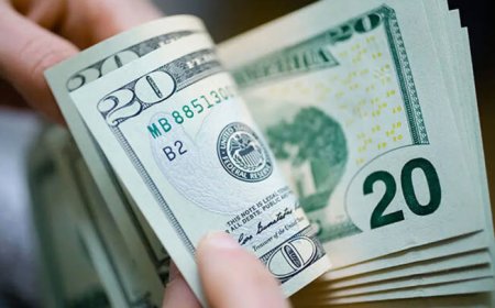 از این تاریخ با کارت ملی دلار بخرید