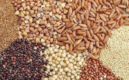 اختصاص ۳۶ هزار تن نهاده دامی به فارس