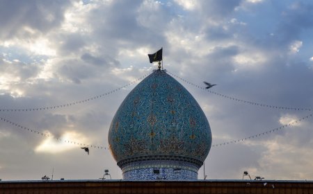 حرم شاهچراغ (ع)، سوگوار شهادت باب الحوائج
