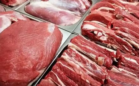 شورای تامین دام: تولیدکننده گوشت تولید می‌کند، اما خریداری نیست