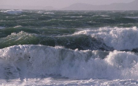 افزایش سرعت وزش باد و مواج شدن خلیج فارس تا پنجشنبه