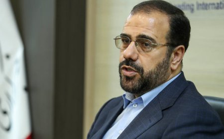 امیری: ارکان مدیریتی فارس برای بهبود شرایط معیشتی مردم بسیج شده‌اند