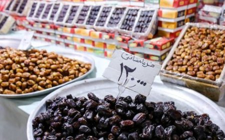 برپایی نمایشگاه عرضه مستقیم کالا در منطقه توکهور و هشتبندی