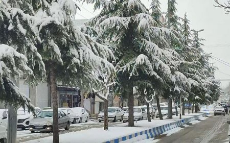 سپیدان پیشتازِ بارش باران و برف در سامانه بارشی اخیر