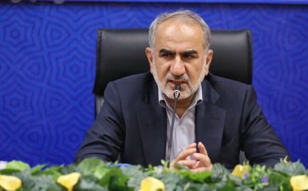 نماینده شیراز: منطقه آزاد لامرد منطقی‌ترین گزینه برای توسعه جنوب فارس است