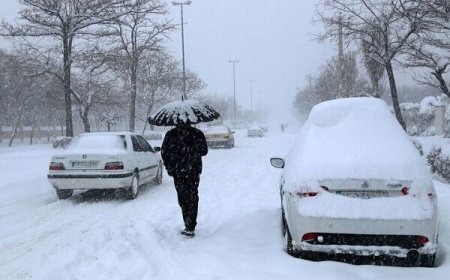 برف ۱۵ سانتی متری، یاسوج را قفل کرد