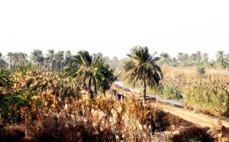 جزیره مینو آبادان