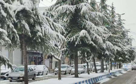 بارش برف در فارس مشکلی تاکنون ایجاد نکرده است/ از سفرهای غیرضرور بپرهیزید