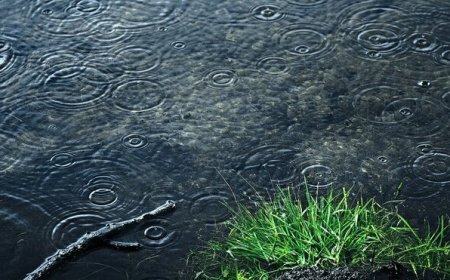 افزایش ۱۸۱ درصدی بارندگی در فارس/ اسفیان سپیدان در صدر بارش‌های اخیر قرار گرفت