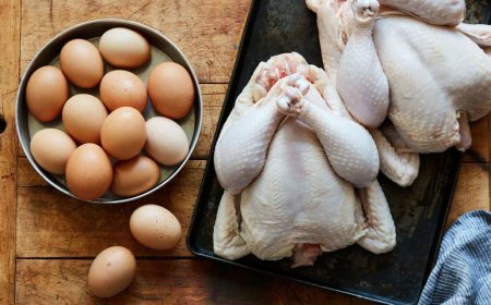 آغاز طرح تولید قراردادی گوشت مرغ در فارس