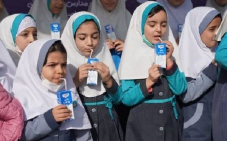 آغاز برنامه توزیع شیر رایگان در مدارس ابتدایی فارس